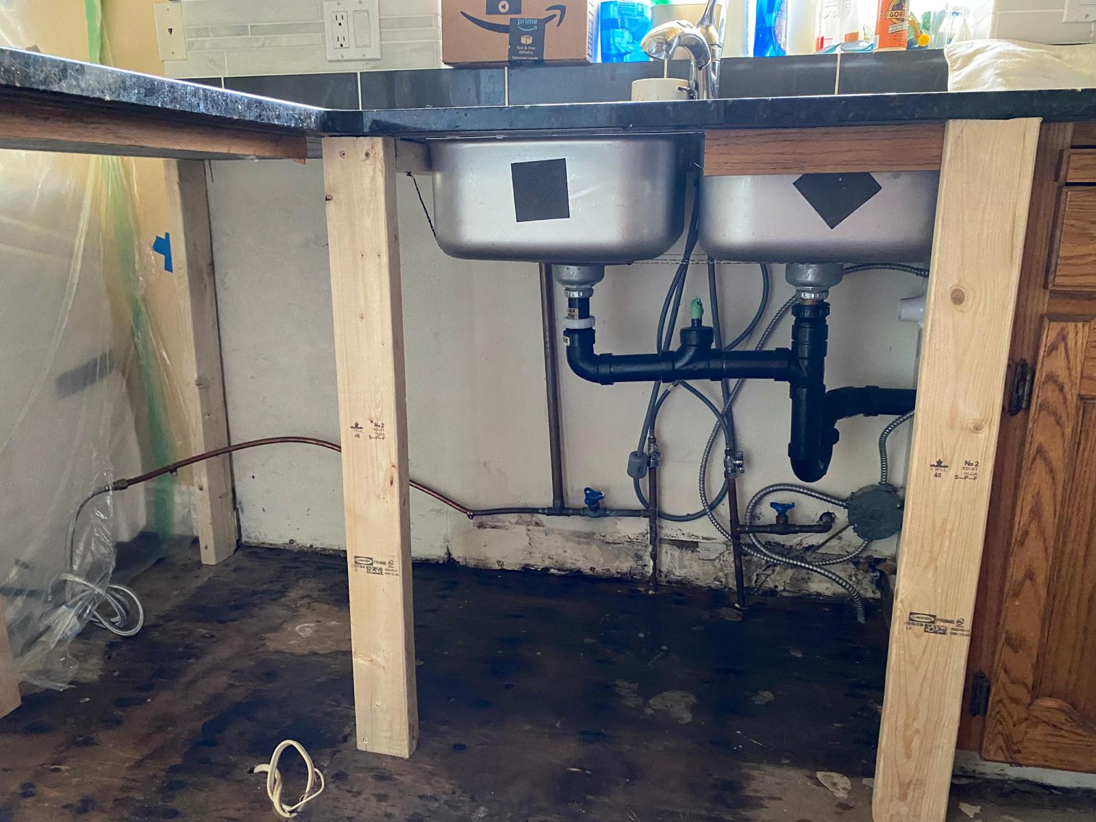Mold Remediation